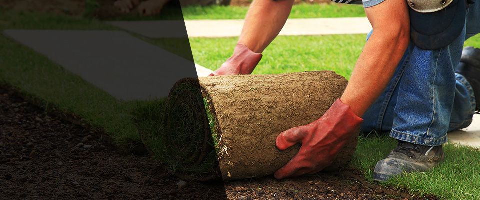 Watford City Landscapers